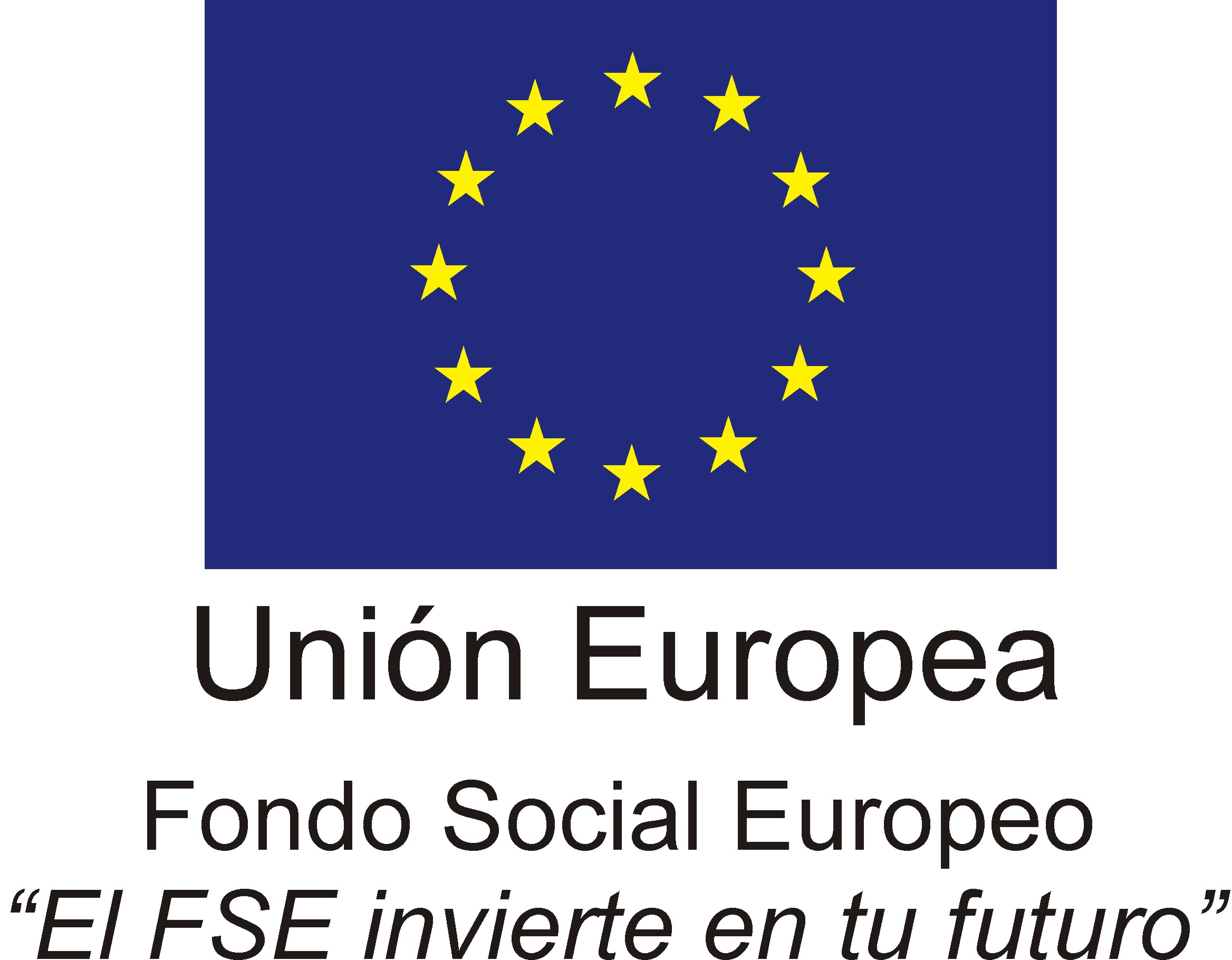 Logo FSE