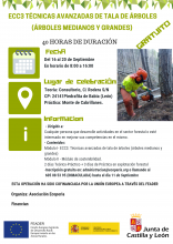 curso Motosierra